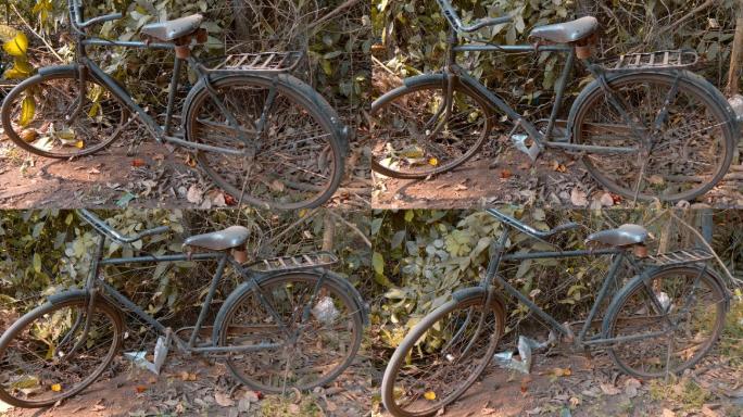 一辆老式自行车在森林里等待主人