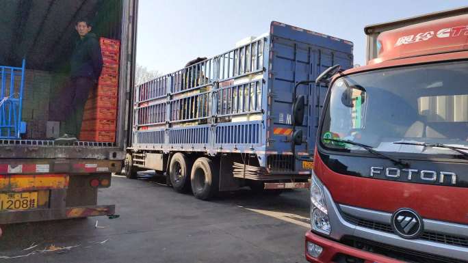 大货车聚集装车搬运水果蔬菜批发市场