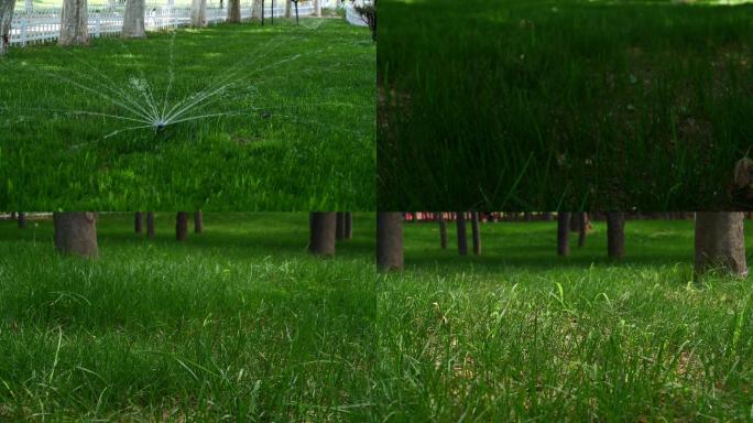 灌溉草坪4K视频