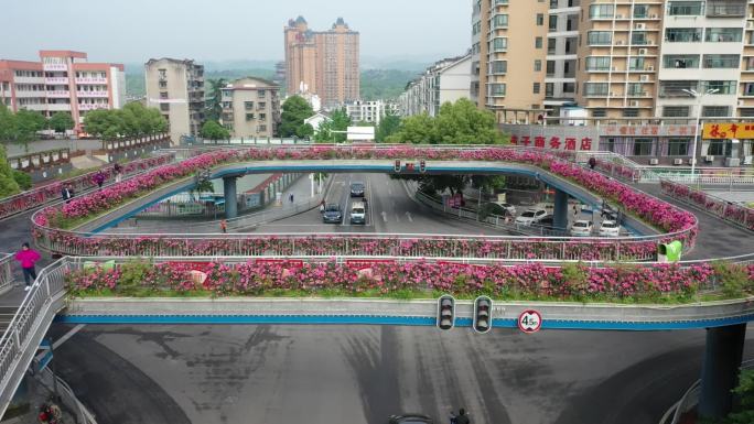 航拍宜昌城市风光，人行天桥开满鲜花