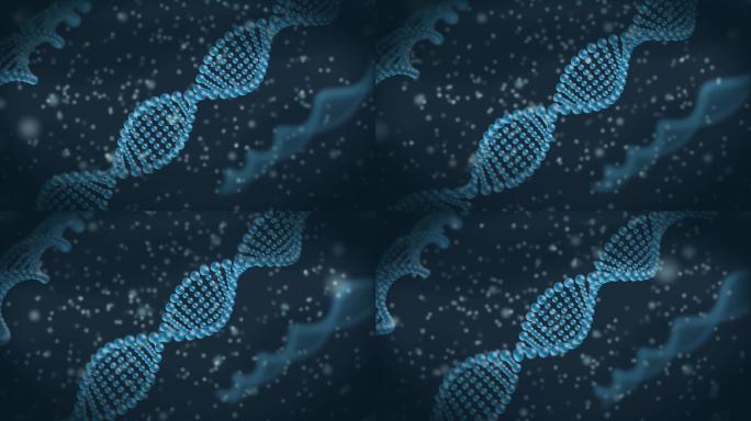 DNA链【无边框】