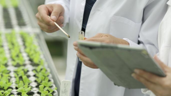 两位科学家从种植叶菜的花盆里采集土壤样本