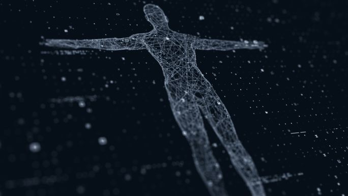 人体技术扫描人形线框科学网络三维模型