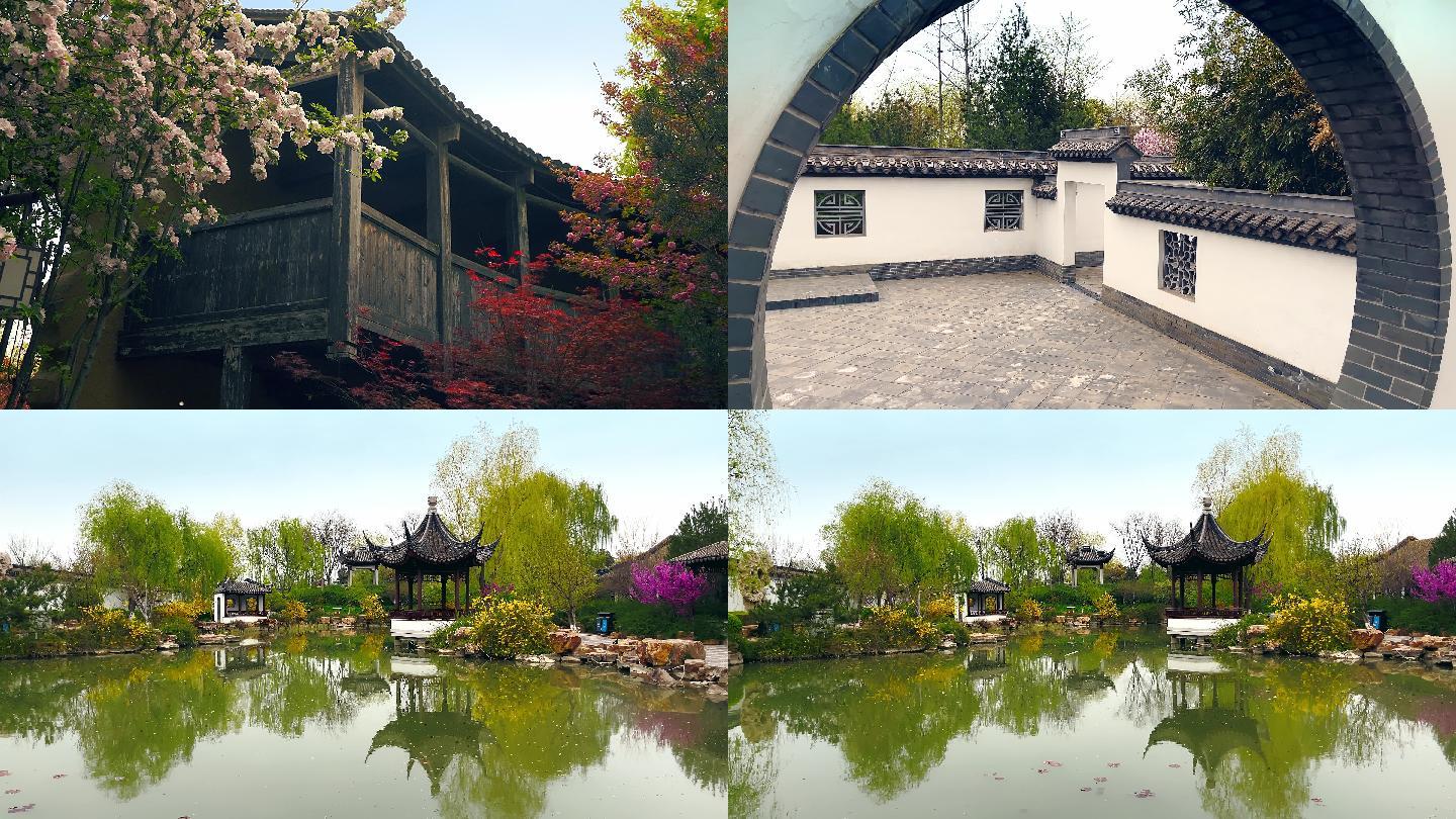 原创拍摄北京春天园博园园林风光