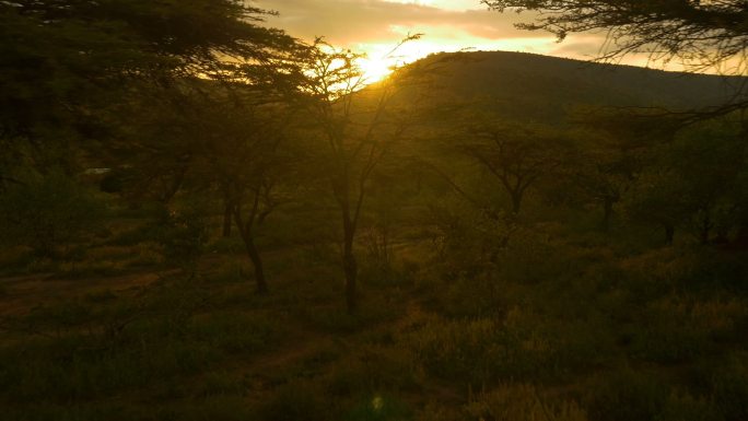 非洲大草原的夕阳森林丛林大自然高山山地山