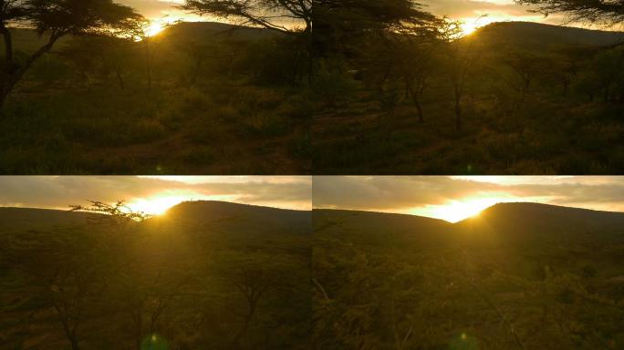 非洲大草原的夕阳森林丛林大自然高山山地山