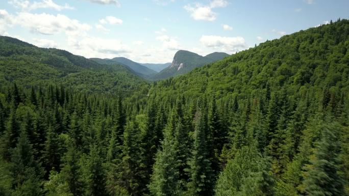 夏季天然林和山地鸟瞰图