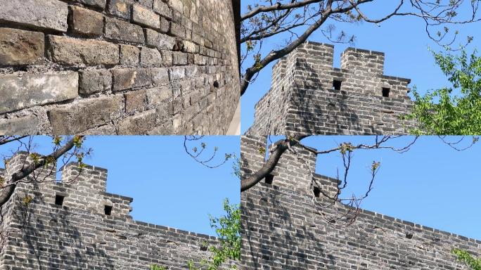 原创拍摄北京春季明城墙遗址公园