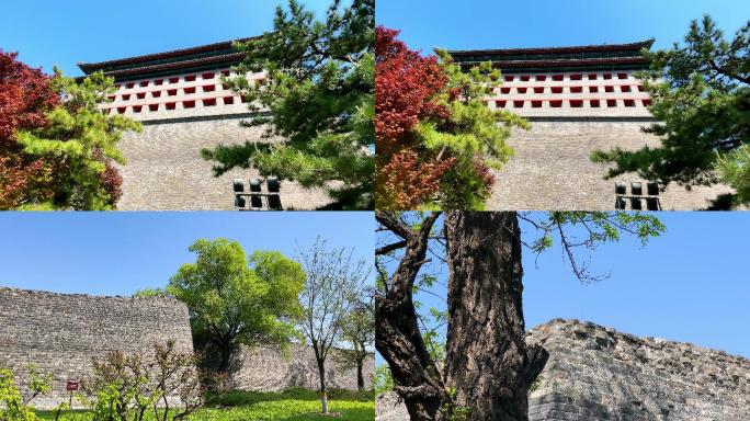 原创拍摄北京春季明城墙遗址公园