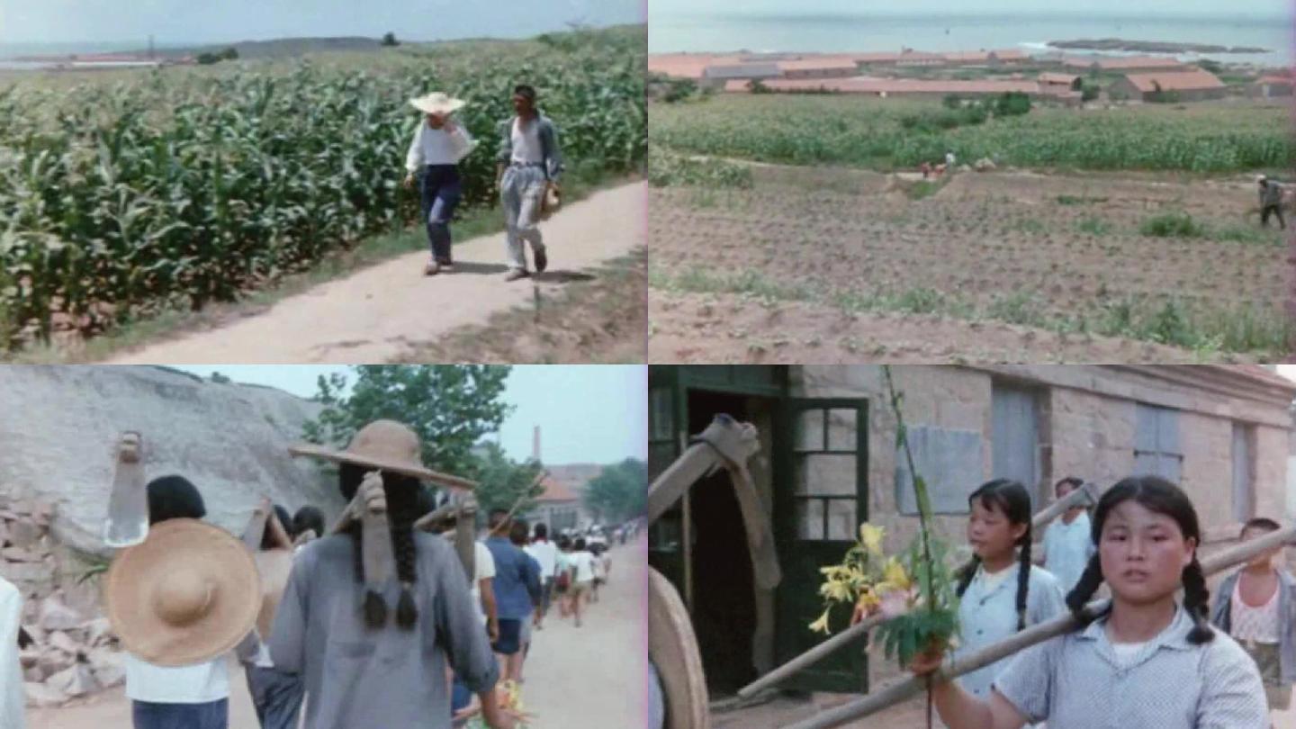 70-80年代农民锄地除草