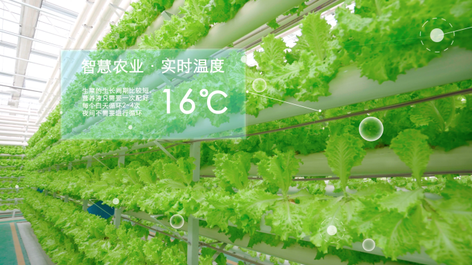 科技农业-智能温室大棚