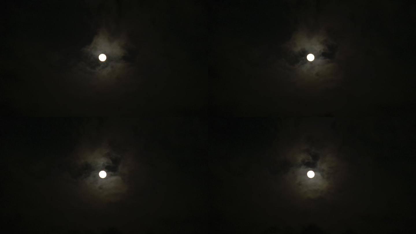 月明星稀皓月当空十五的月亮 19x1080 高清视频素材下载 编号 实拍视频 Vj师网www Vjshi Com 月明星稀皓月当空十五的月亮 19x1080 高清视频素材下载 编号 实拍视频 Vj师网www Vjshi Com