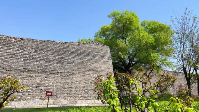 原创拍摄北京春天明城墙遗址公园