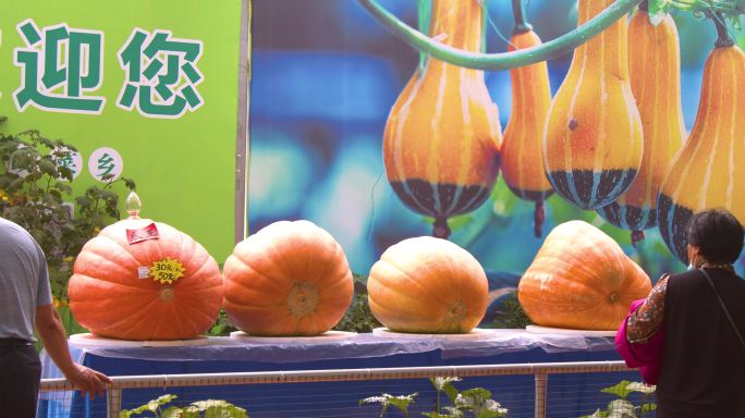 巨型南瓜，寿光蔬菜博览会
