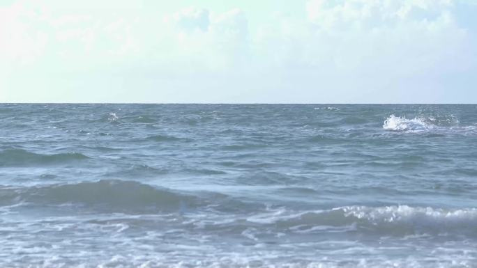 海南海水蓝天白云海边椰子树海浪（4K）