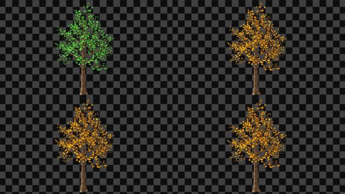 5银杏树四季生长变化-C4D模型