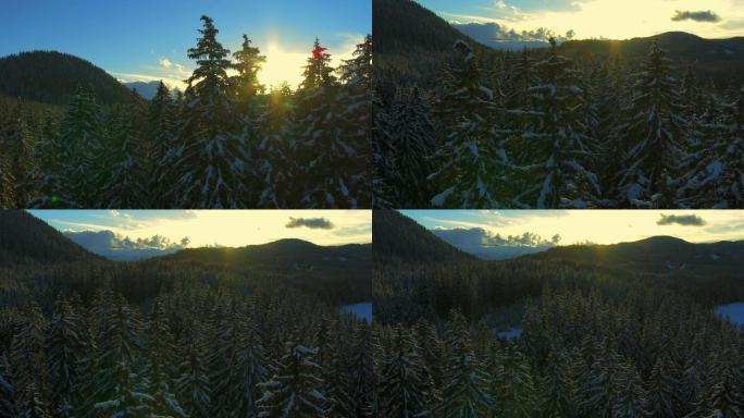 日落时的冬季山林