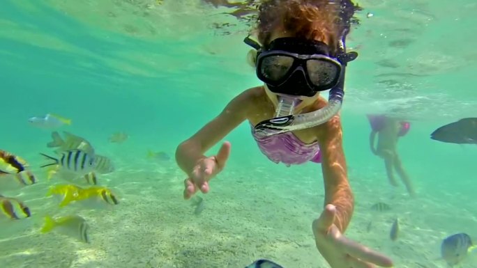 在水下浮潜的女孩潜泳水底戏水海里生物