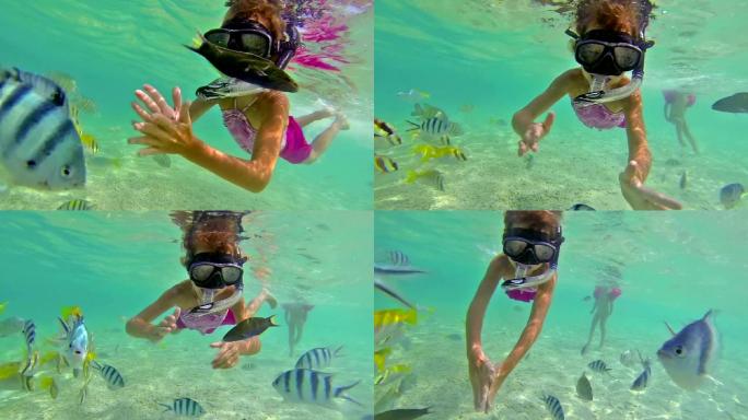 在水下浮潜的女孩潜泳水底戏水海里生物