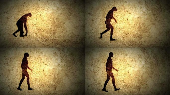 人类进化达尔文的进化论人猿演化动画演绎进
