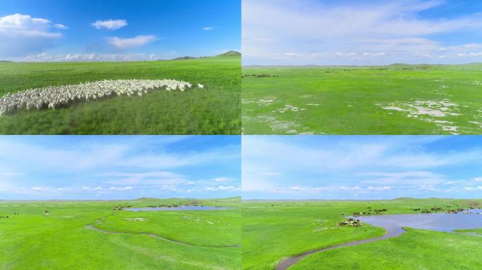内蒙古草原天然牧场