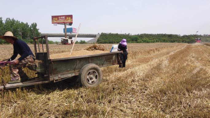农民夏收小麦手扶拖拉机农用车