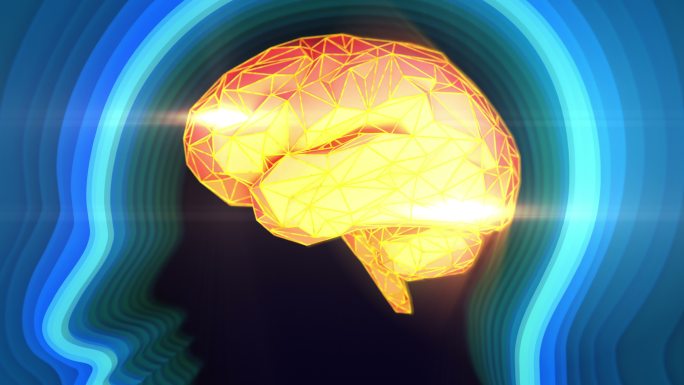 人脑神经元活动3D系统组织大脑脑部结构构