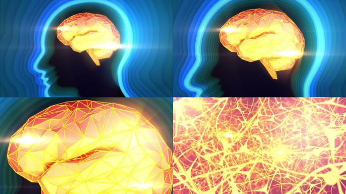 人脑神经元活动3D系统组织大脑脑部结构构