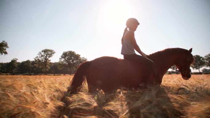 在田野里骑着一匹棕色马的女孩