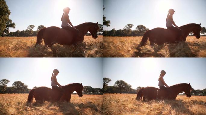 在田野里骑着一匹棕色马的女孩