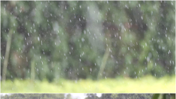 4K雨天实拍唯美风景