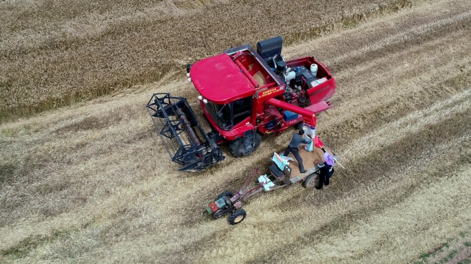 农民夏收小麦手扶拖拉机农用车联合收割机