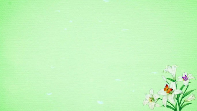 小清新绿色百合蝴蝶背景板