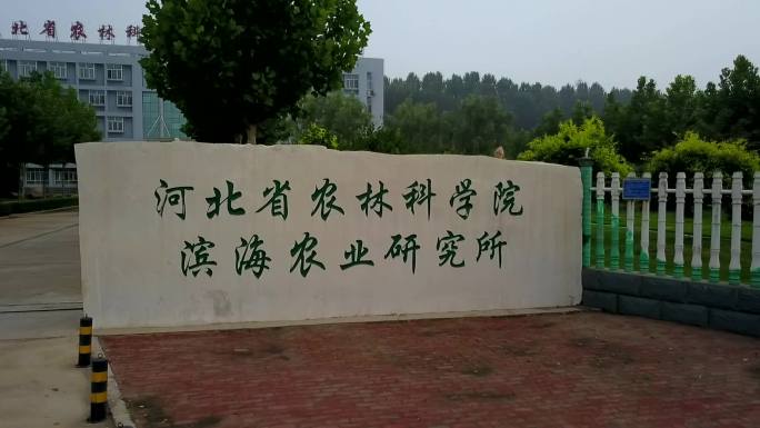 河北省农林科学院滨海农业研究所——航拍1