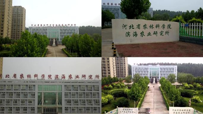 河北省农林科学院滨海农业研究所——航拍1