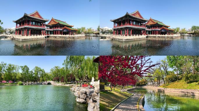原创拍摄北京龙潭公园的春天