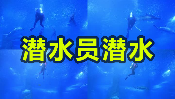 【原创】鲨鱼潜水员
