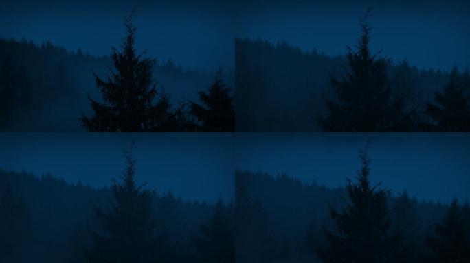 夜间雾气笼罩着树林