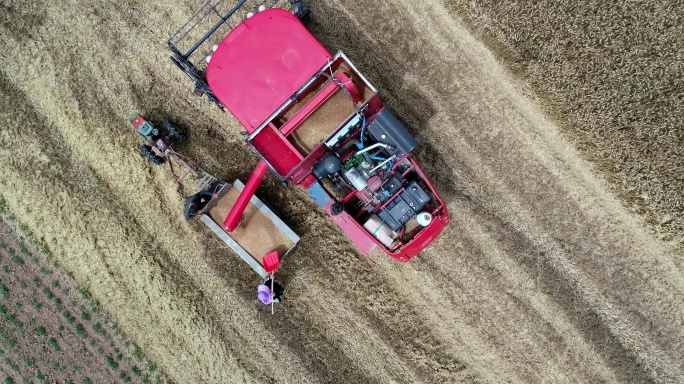 农民夏收小麦手扶拖拉机农用车联合收割机