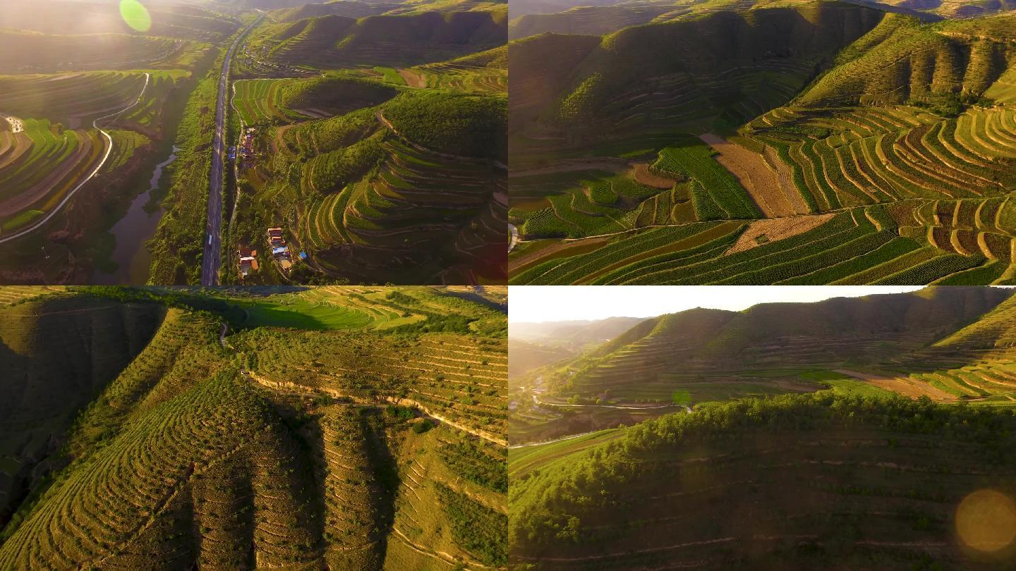 航拍西北梯田风景素材