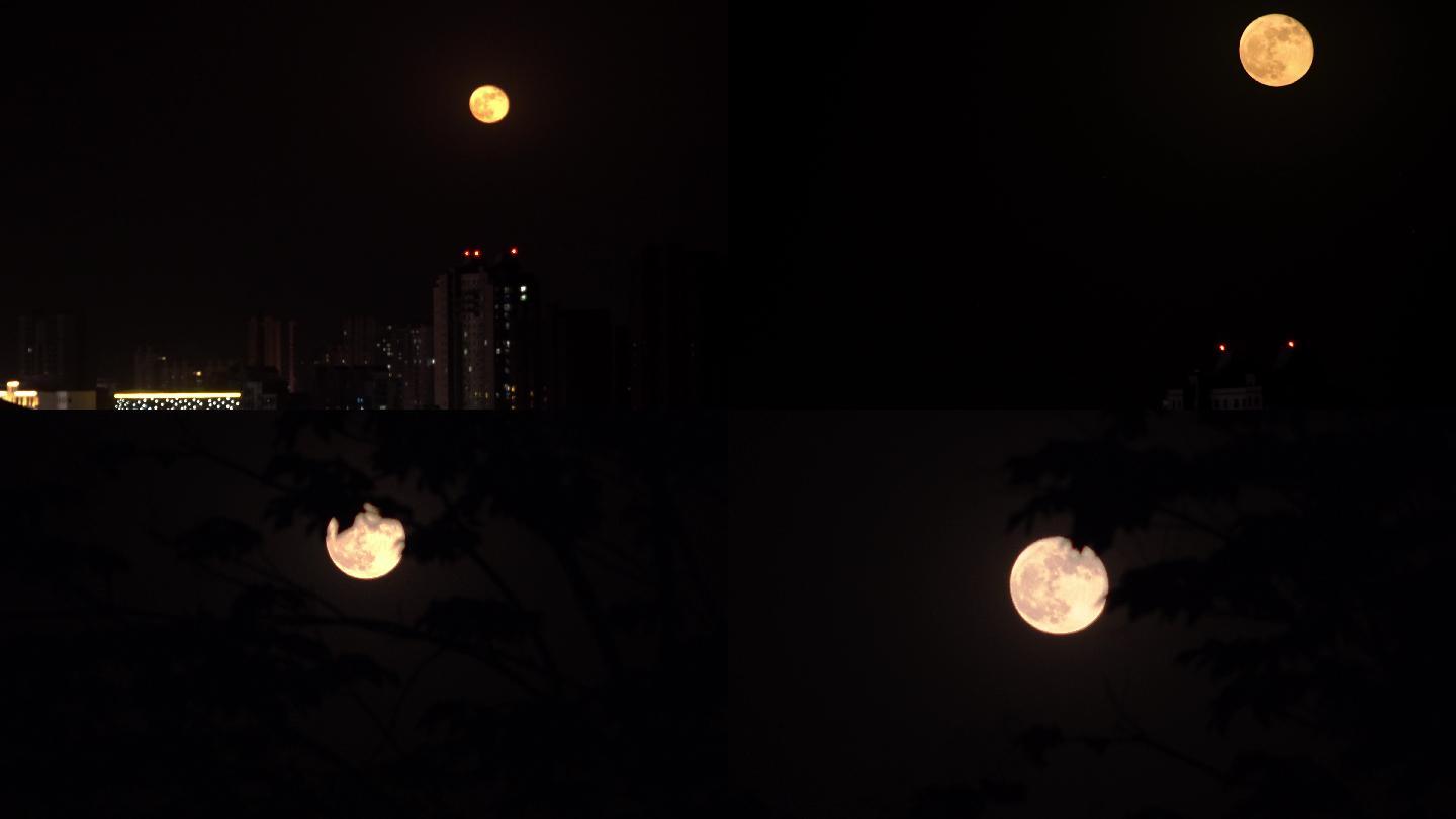 城市十五的月亮升起
