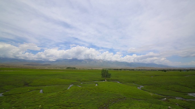 新疆温泉县湿地空景延时