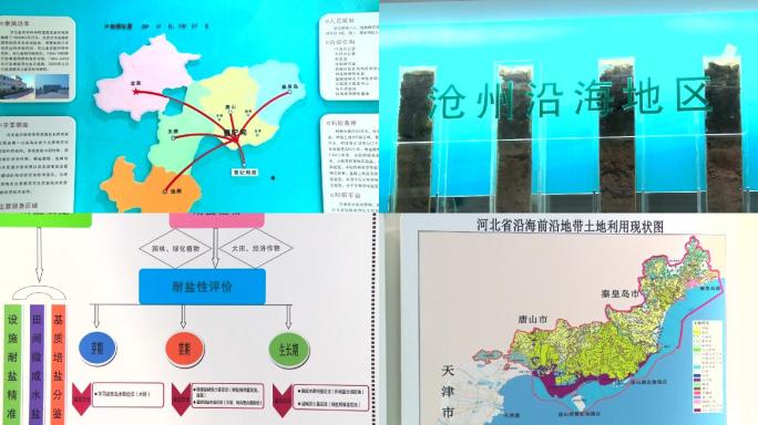 河北省农林科学院滨海农业研究所