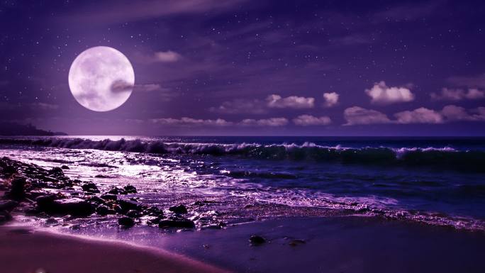 月亮和大海
