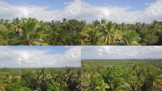 马达加斯加热带无人机视图