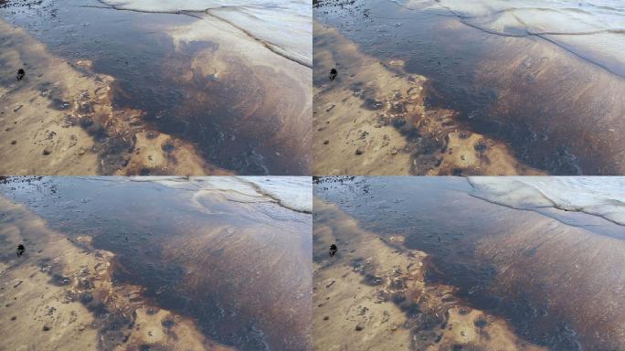 石油泄漏大海海边沙滩破坏生态