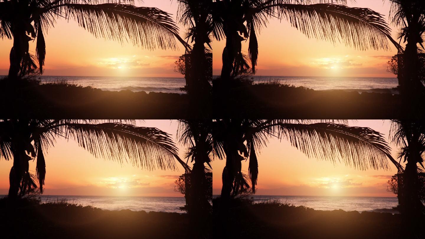 阳光直射和棕榈树点缀下的海滩日落