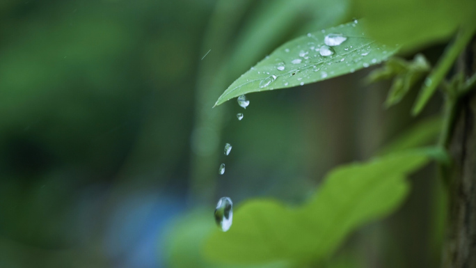 雨滴慢镜头