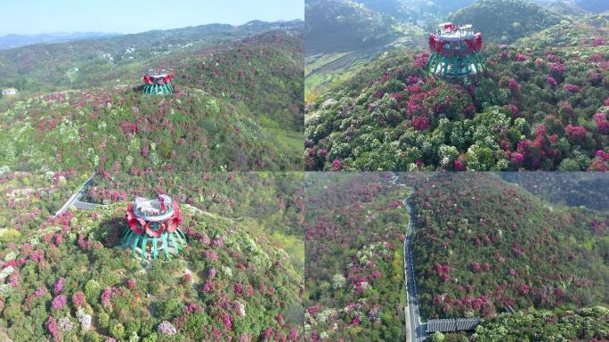 航拍贵州毕节百里杜鹃普底景区1