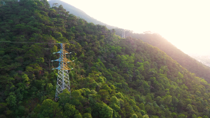 热带雨林中的高压线塔